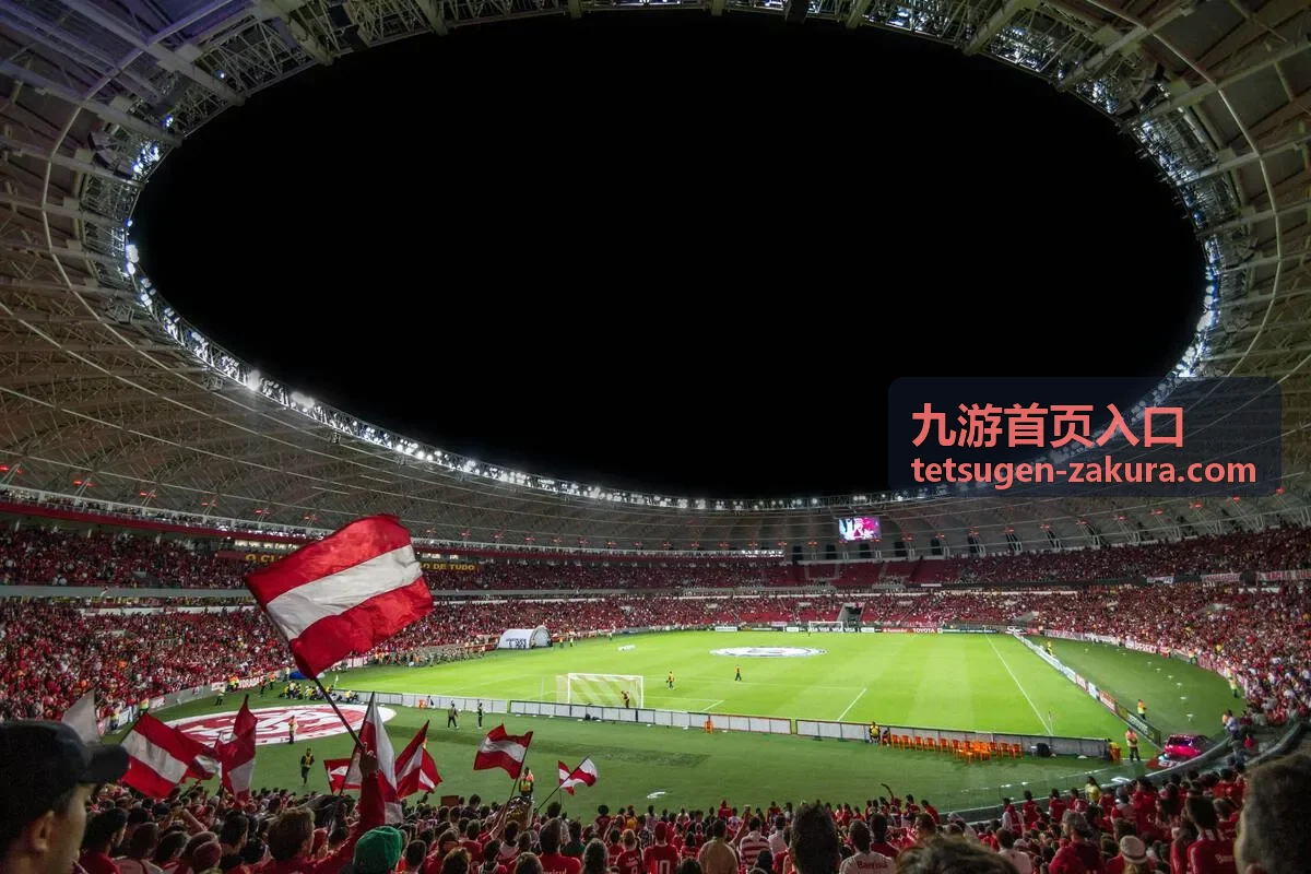 九游首页入口入口列表界面示意