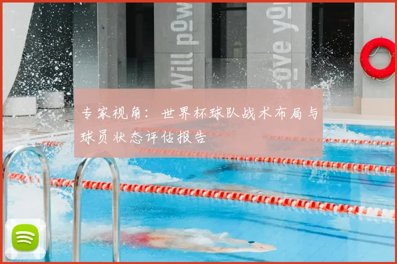 专家视角：世界杯球队战术布局与球员状态评估报告