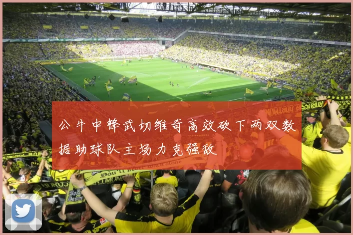 公牛中锋武切维奇高效砍下两双数据助球队主场力克强敌