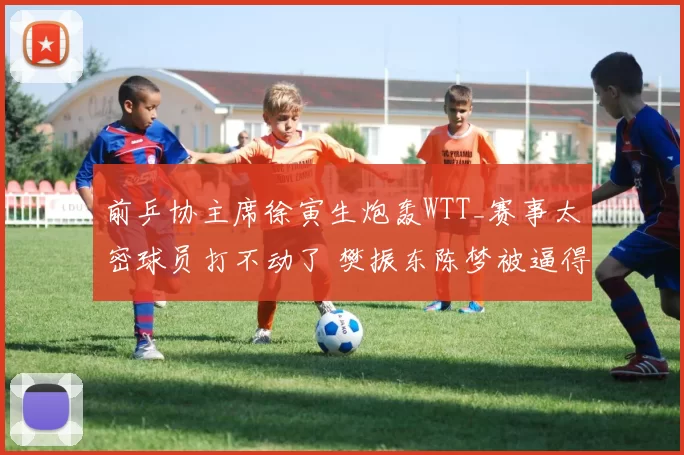 前乒协主席徐寅生炮轰WTT_赛事太密球员打不动了 樊振东陈梦被逼得退出