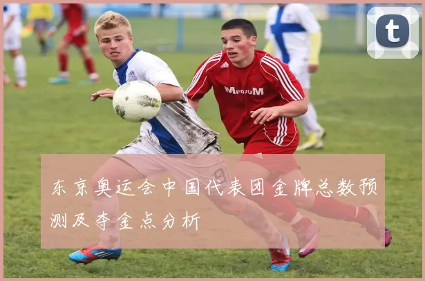 东京奥运会中国代表团金牌总数预测及夺金点分析