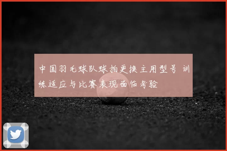 中国羽毛球队球拍更换主用型号 训练适应与比赛表现面临考验