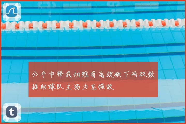 公牛中锋武切维奇高效砍下两双数据助球队主场力克强敌