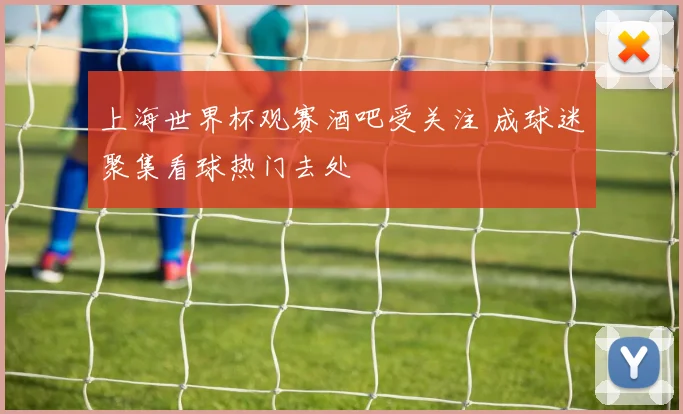 上海世界杯观赛酒吧受关注 成球迷聚集看球热门去处